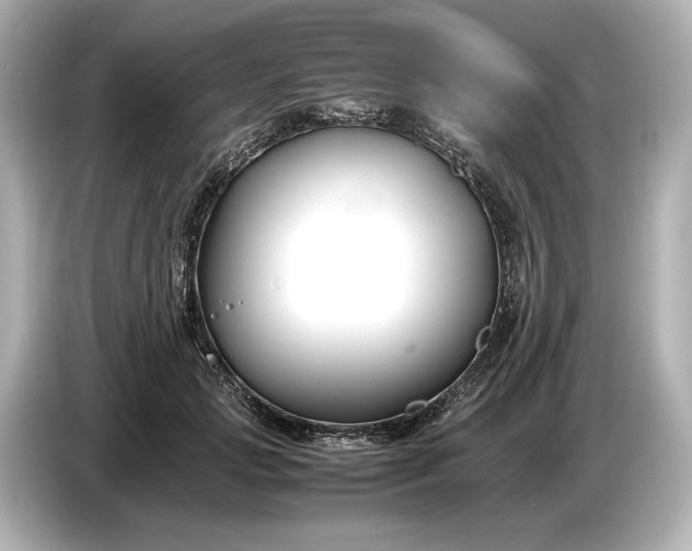 X0000086960749200704301237