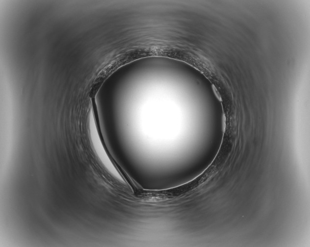 X0000086960750200704301237