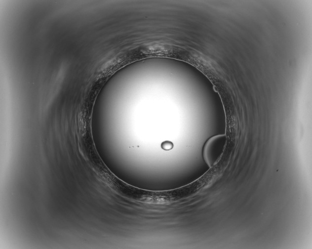 X0000086960751200704301237