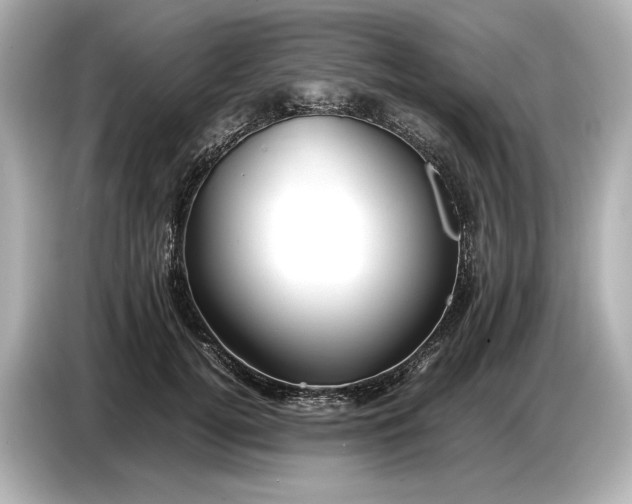 X0000086960752200704301237