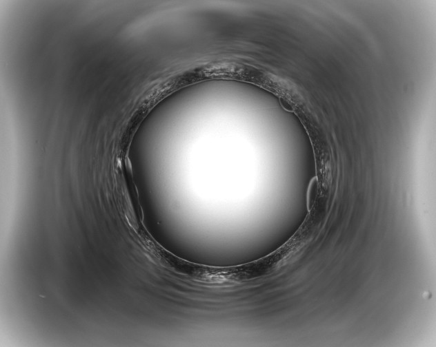 X0000086960753200704301237