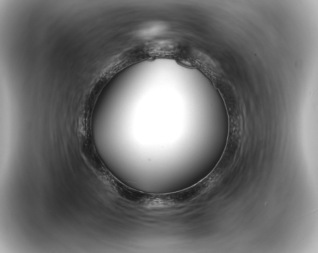 X0000086960755200704301237