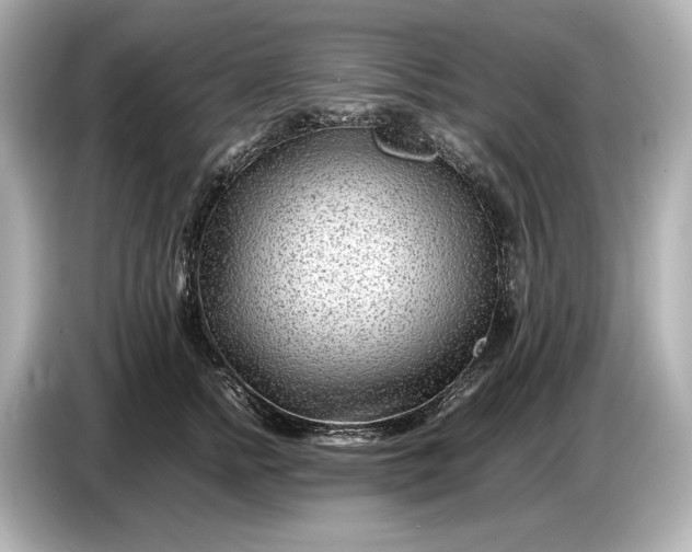 X0000086960758200704301237