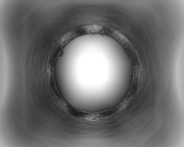 X0000086960761200704301237