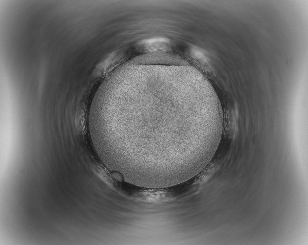 X0000086960762200704301237