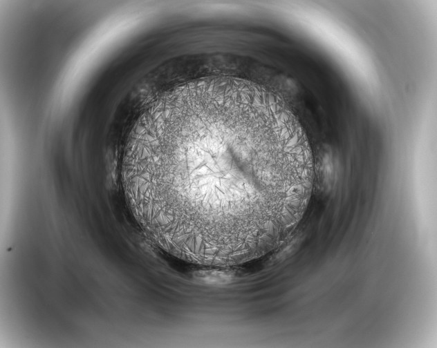 X0000086960765200704301237