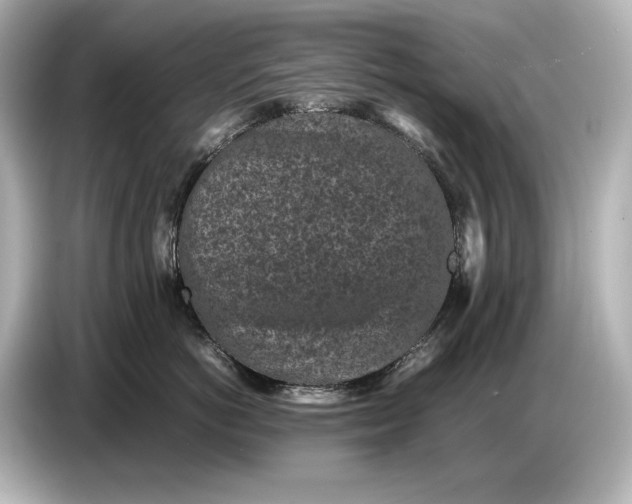 X0000086960766200704301237