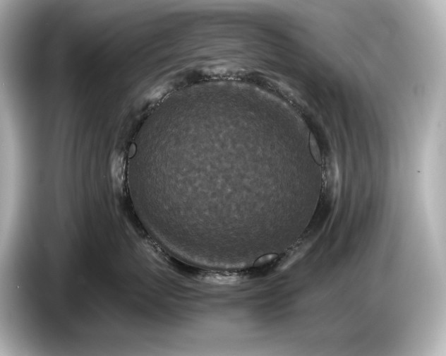 X0000086960767200704301237