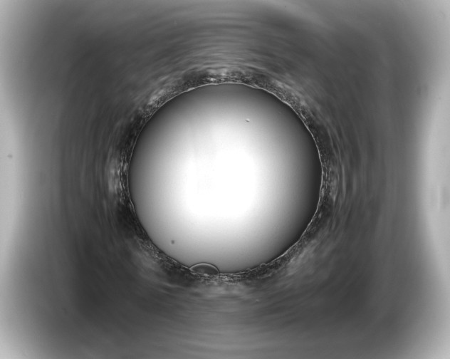 X0000086960770200704301237