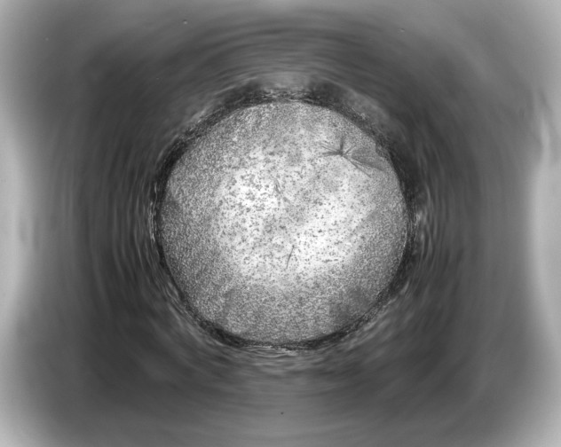 X0000086960772200704301237