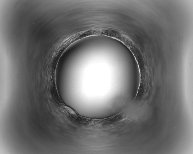 X0000086960773200704301237