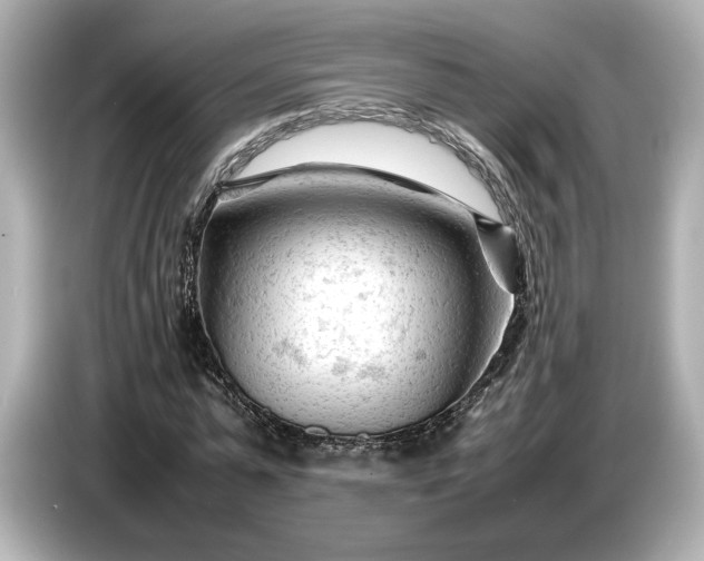 X0000086960775200704301237