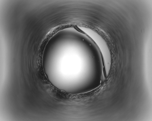 X0000086960776200704301237