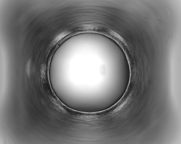 X0000086960778200704301237