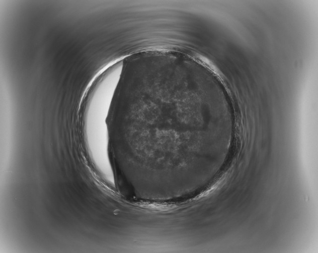 X0000086960779200704301237