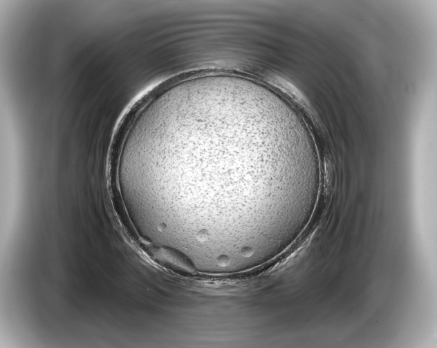 X0000086960780200704301237