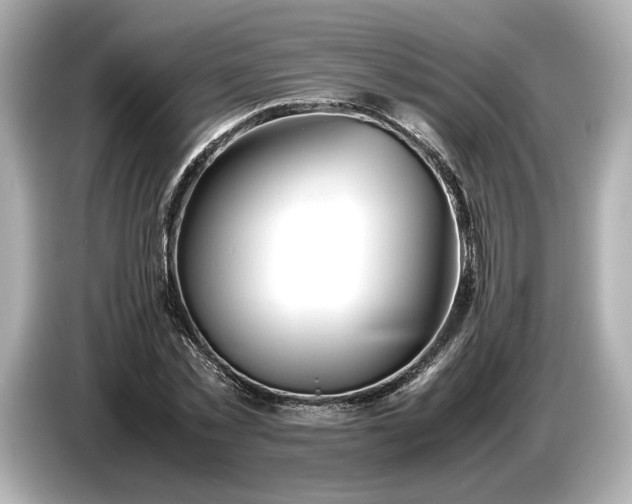 X0000086960781200704301237