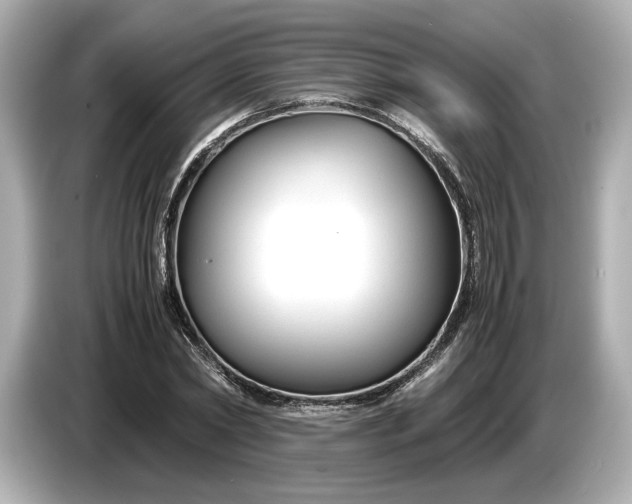 X0000086960782200704301237