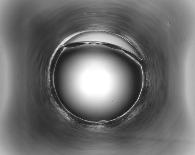 X0000086960784200704301237