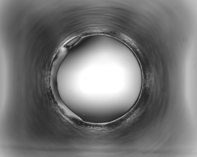 X0000086960786200704301237
