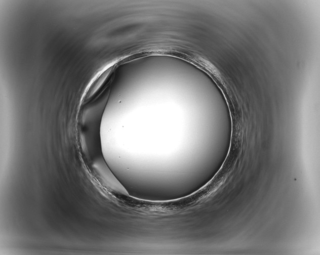 X0000086960787200704301237
