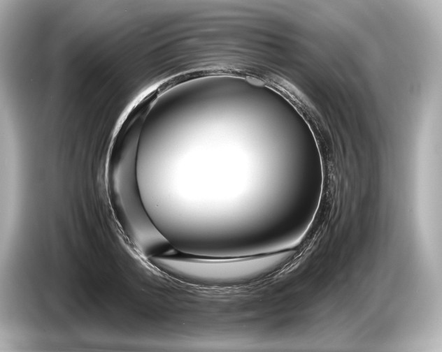X0000086960788200704301237