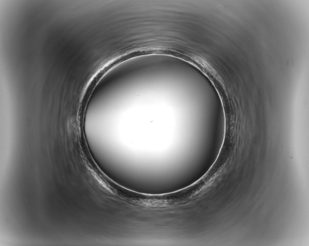 X0000086960789200704301237