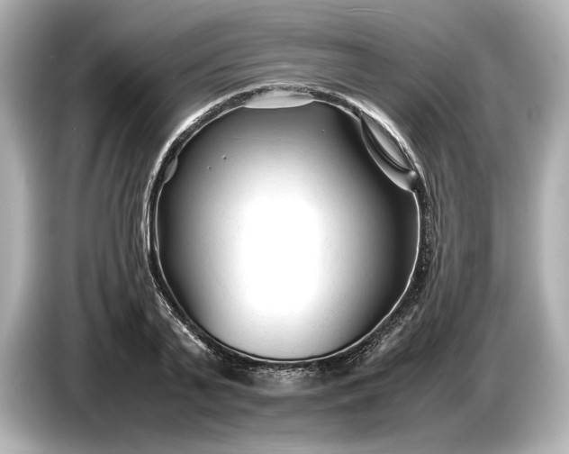 X0000086960791200704301236