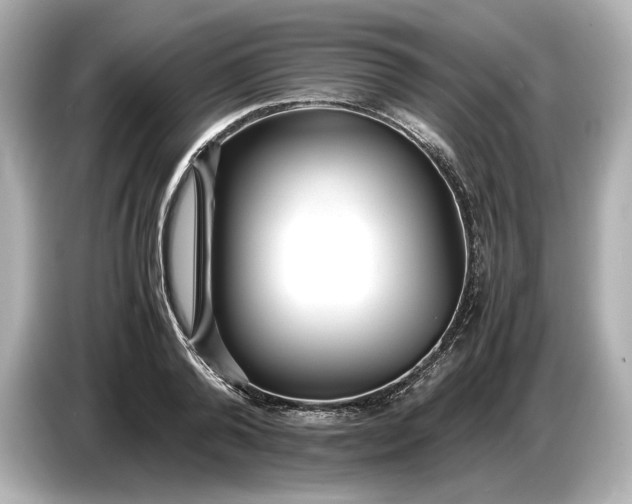 X0000086960792200704301236