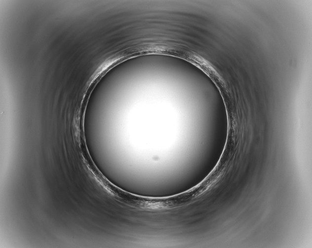 X0000086960794200704301236