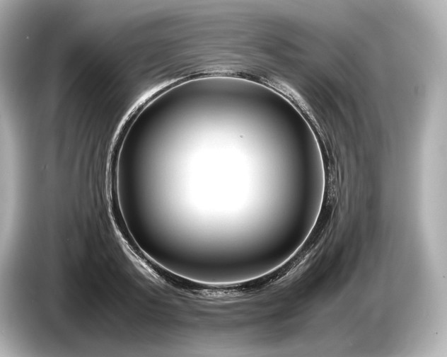 X0000086960795200704301236