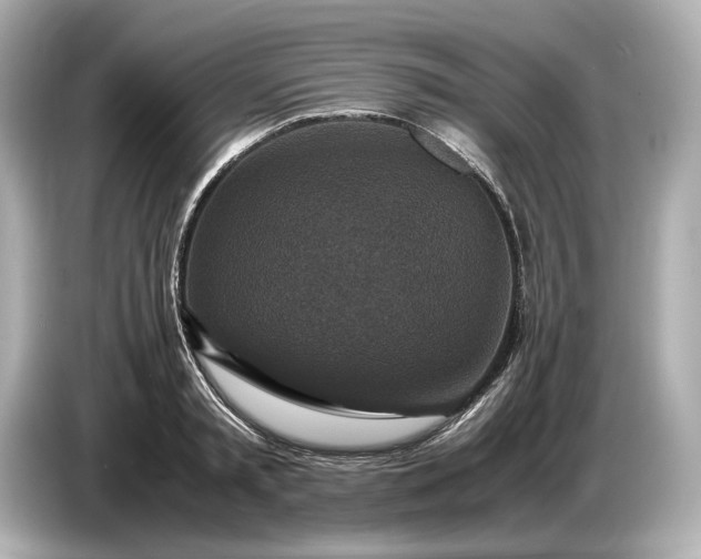 X0000086960797200704301236