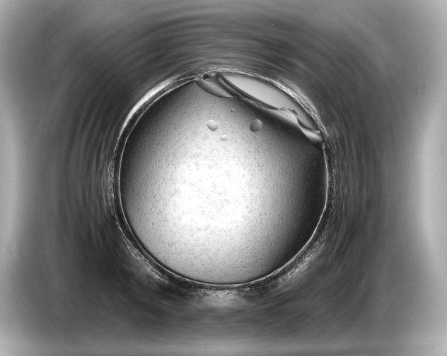 X0000086960798200704301236