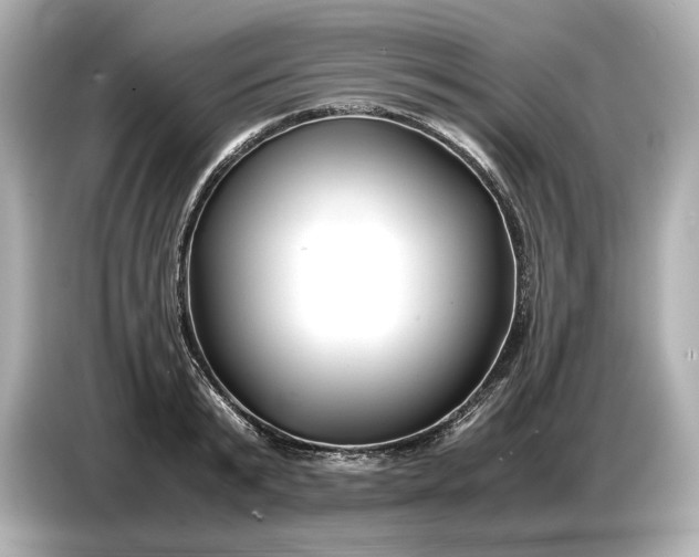 X0000086960799200704301236