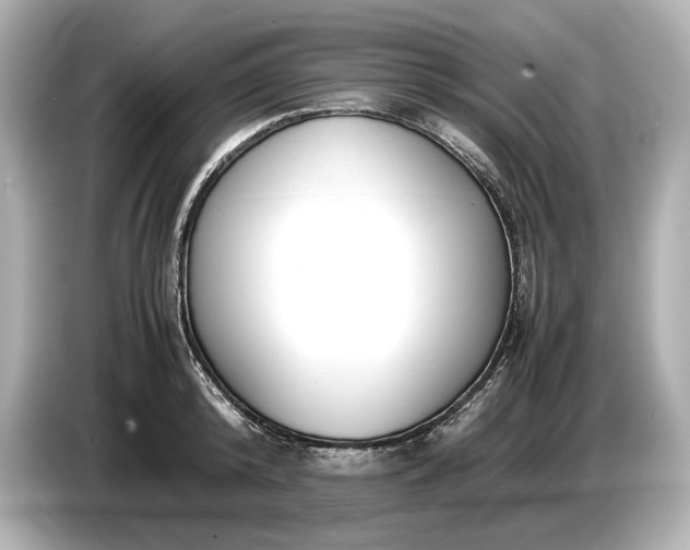 X0000086960800200704301236