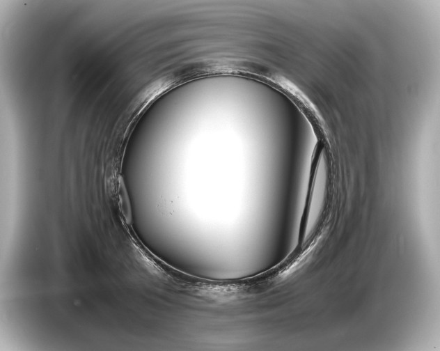 X0000086960801200704301236