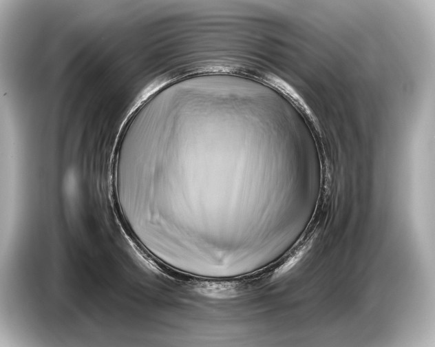 X0000086960802200704301236