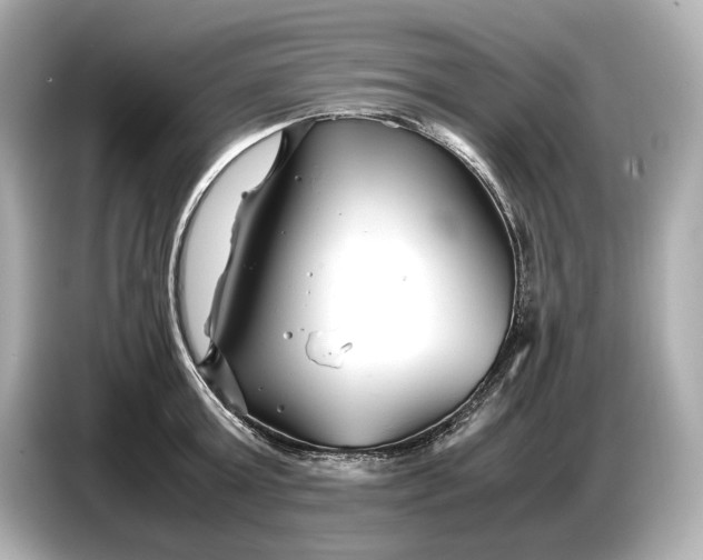 X0000086960803200704301236