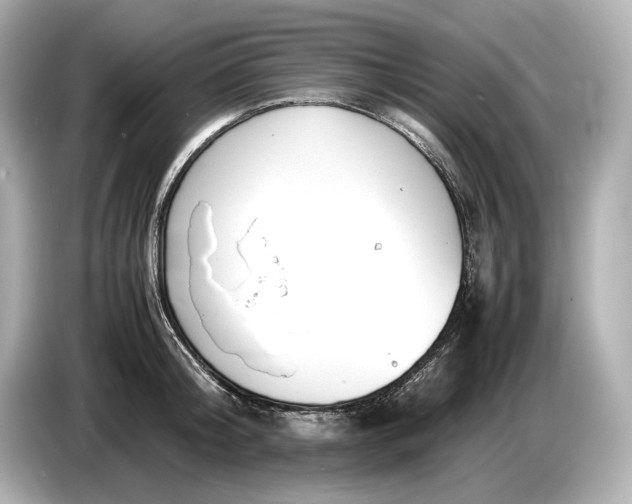 X0000086960804200704301236