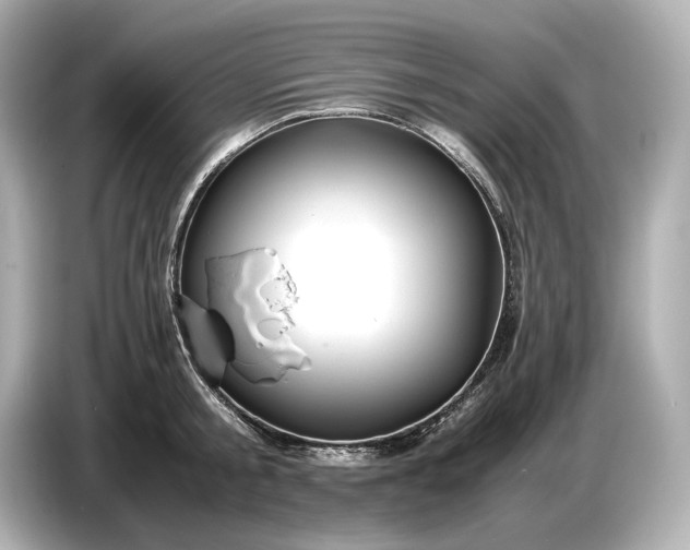 X0000086960805200704301236