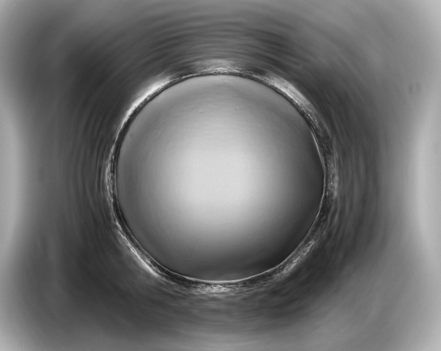 X0000086960806200704301236