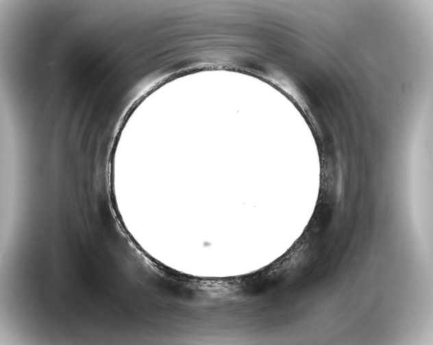 X0000086960807200704301236