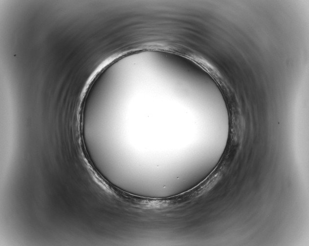 X0000086960808200704301236