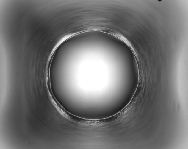 X0000086960811200704301236
