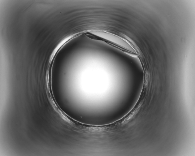 X0000086960812200704301236