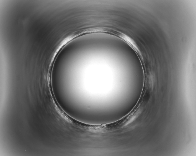 X0000086960813200704301236