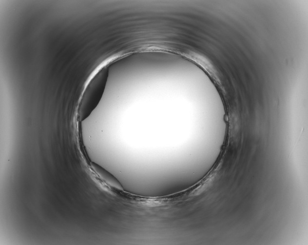 X0000086960814200704301236
