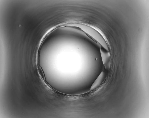 X0000086960815200704301236