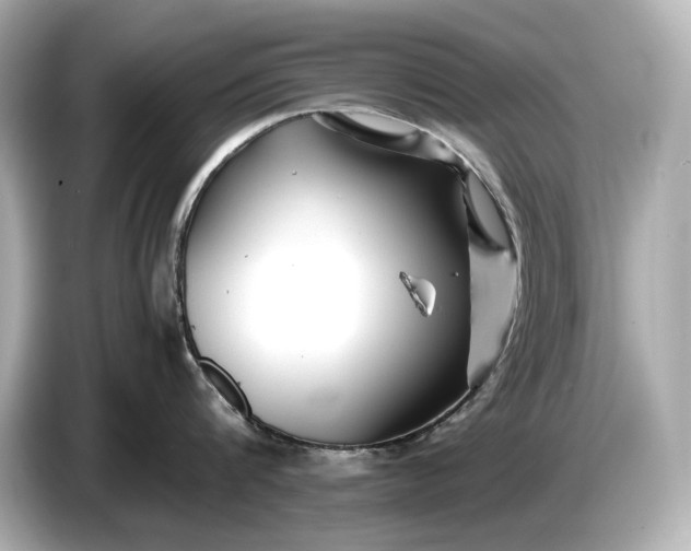 X0000086960816200704301236