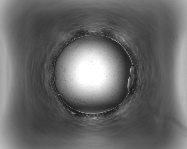 X0000086960817200704301236